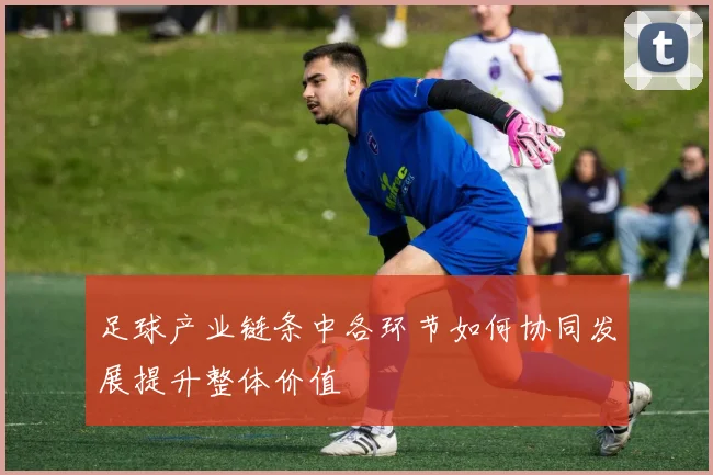 足球产业链条中各环节如何协同发展提升整体价值